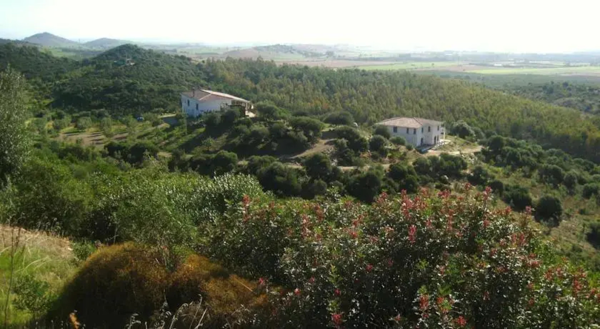 Agriturismo Ziu Luisicu