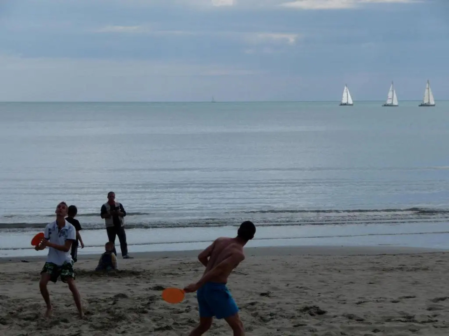 L'Enclos du Micocoulier