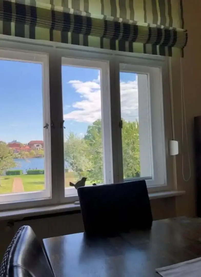 4 Villa Blanck Comfortable Holiday Residence