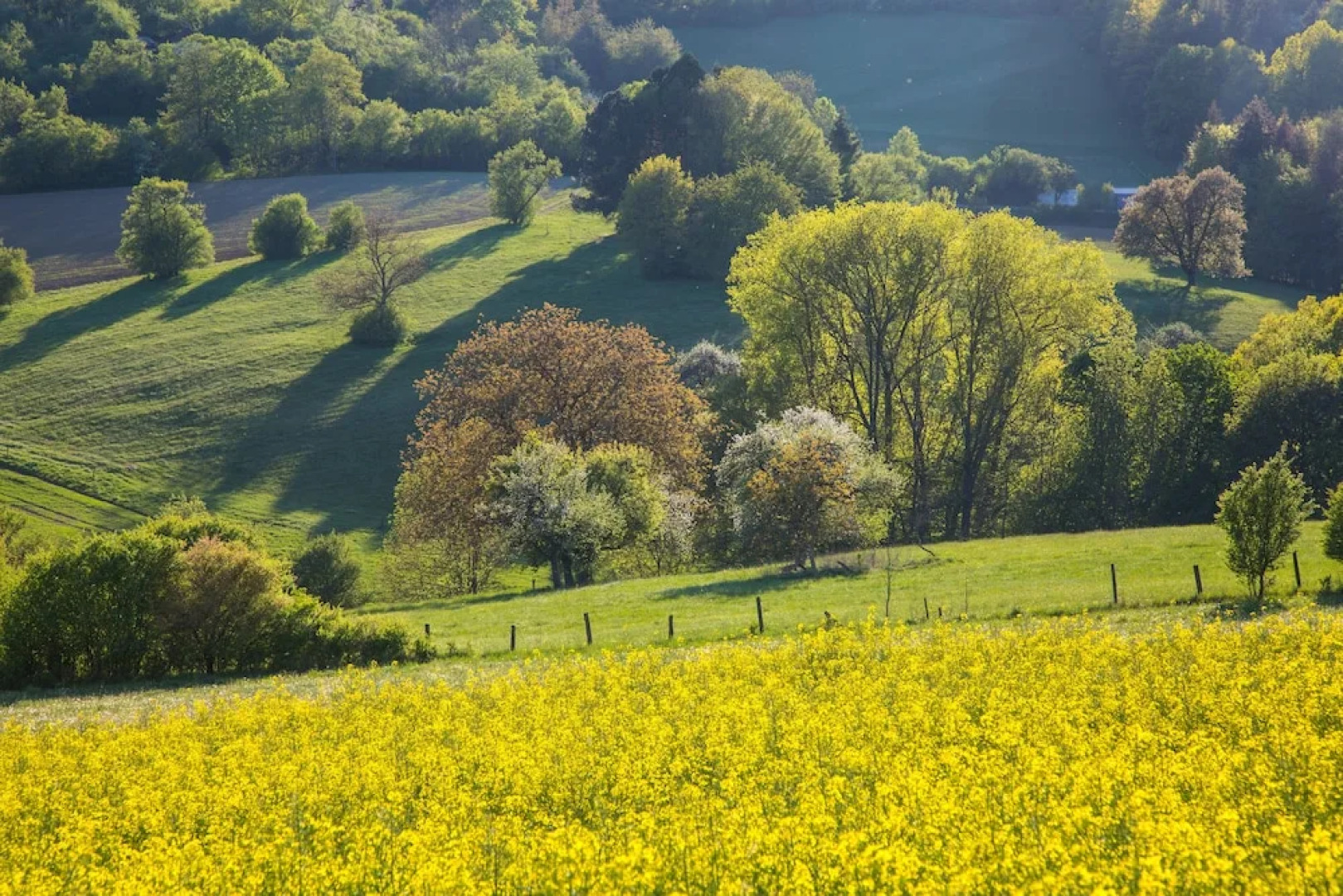 Romantik Hotel Landschloss Fasanerie