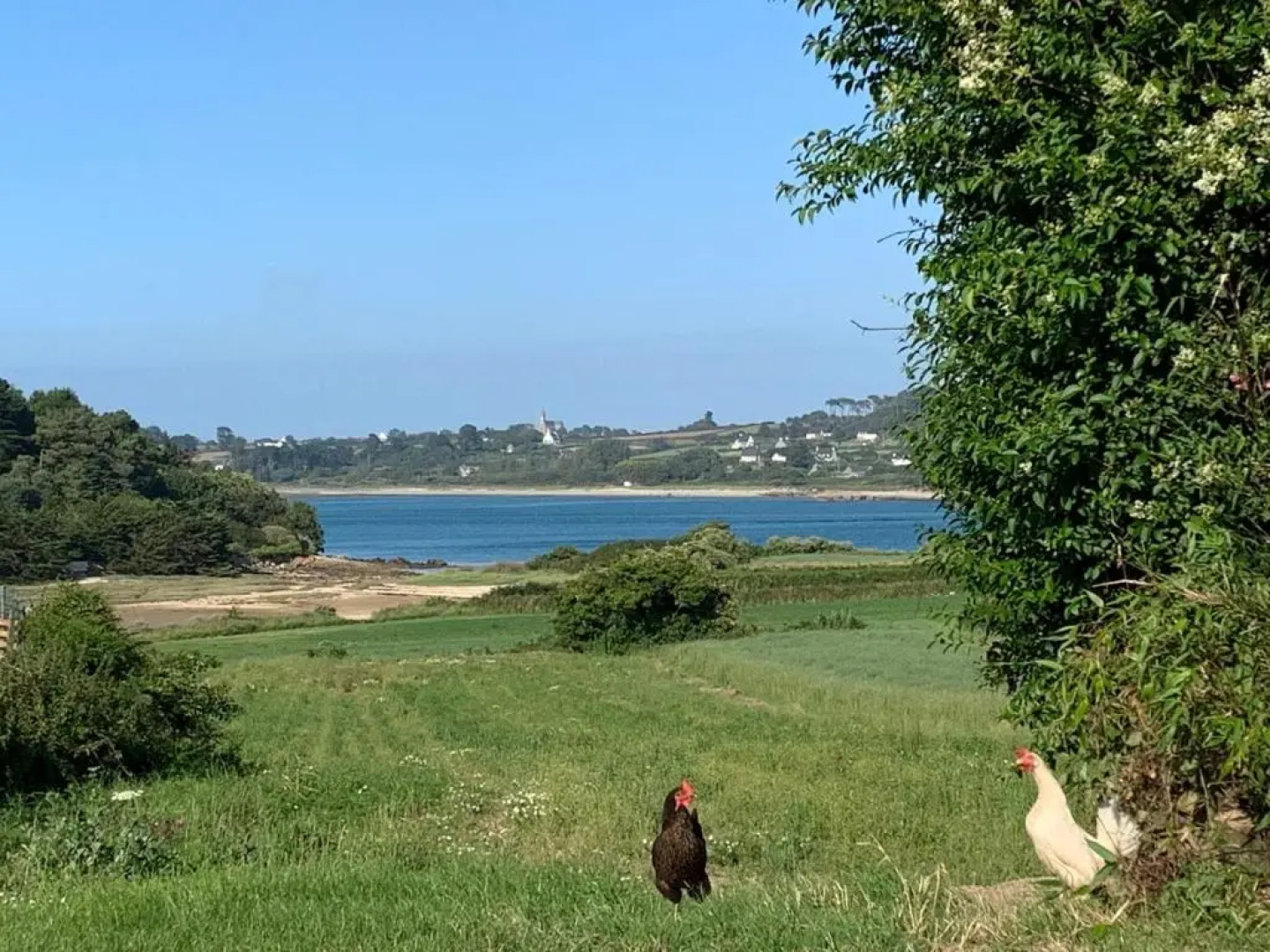 Les villas d'Onalou - Port Blanc