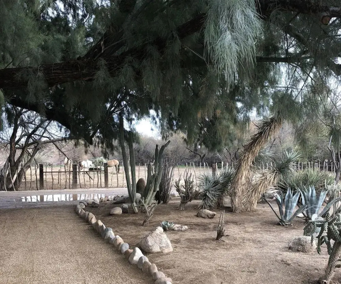 Kay El Bar Guest Ranch