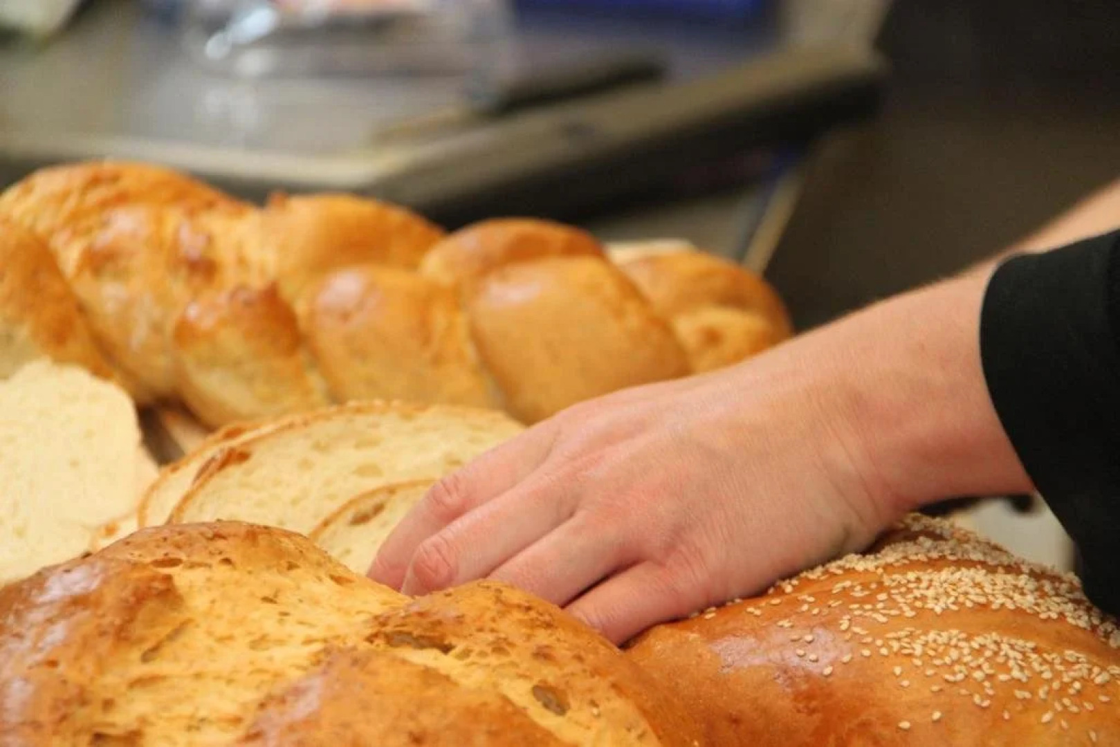 Løgumkloster Refugium