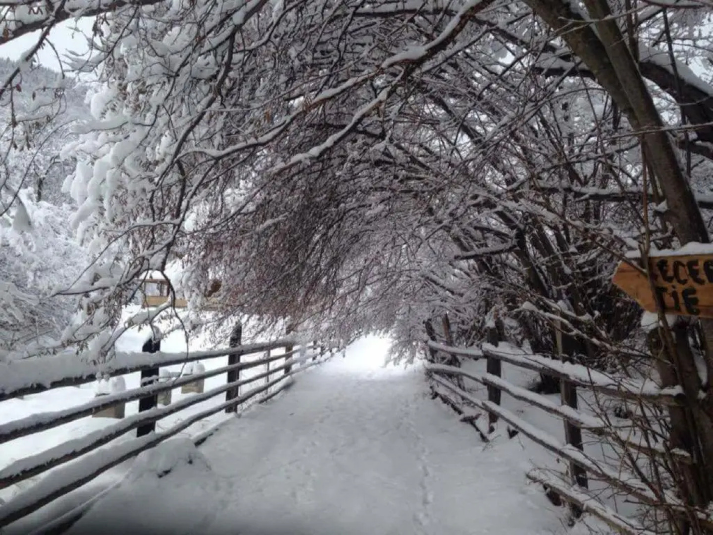Ferma de sub Penteleu
