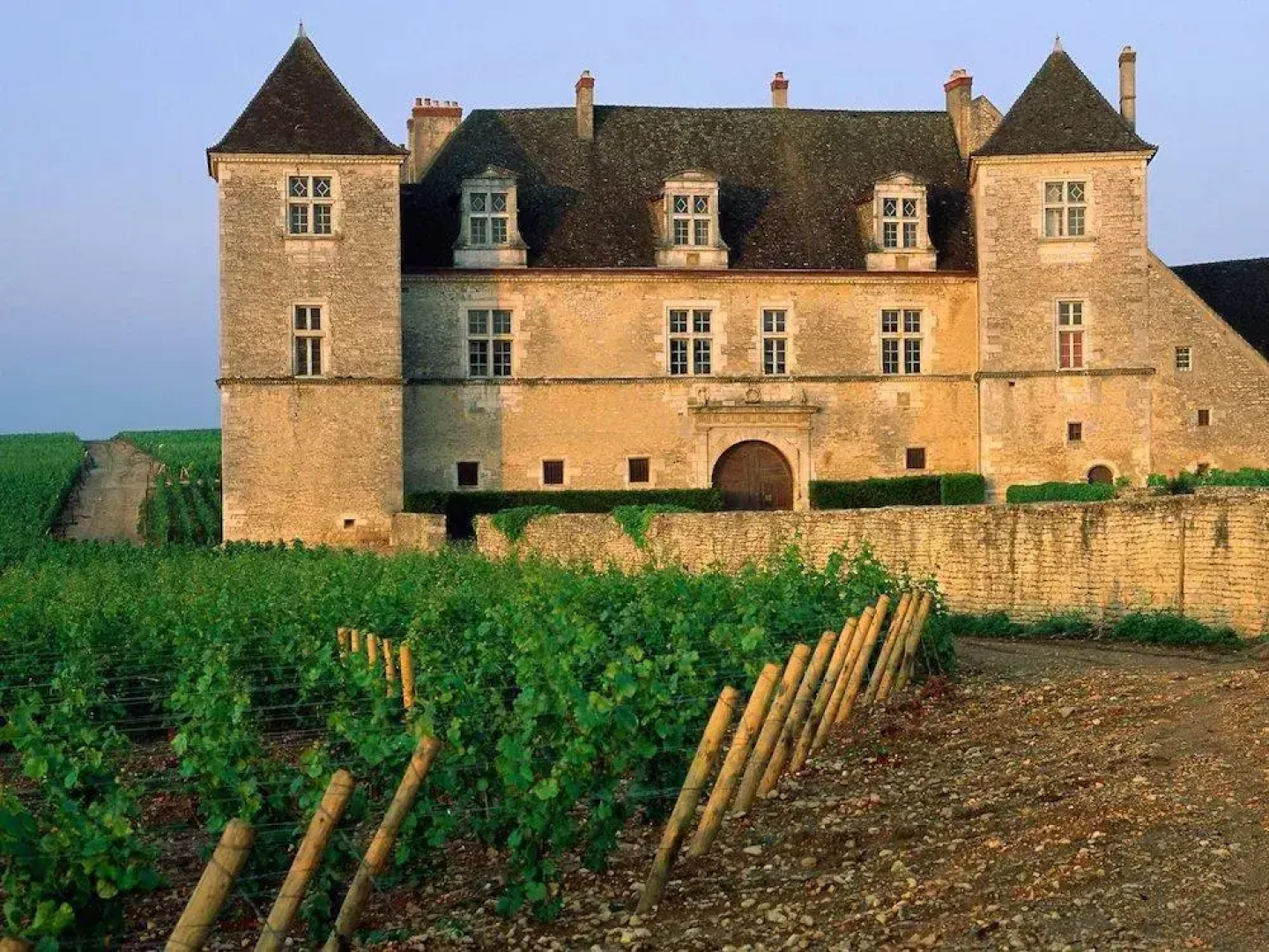 Gîte Aux Vignes de Marey en Bourgogne