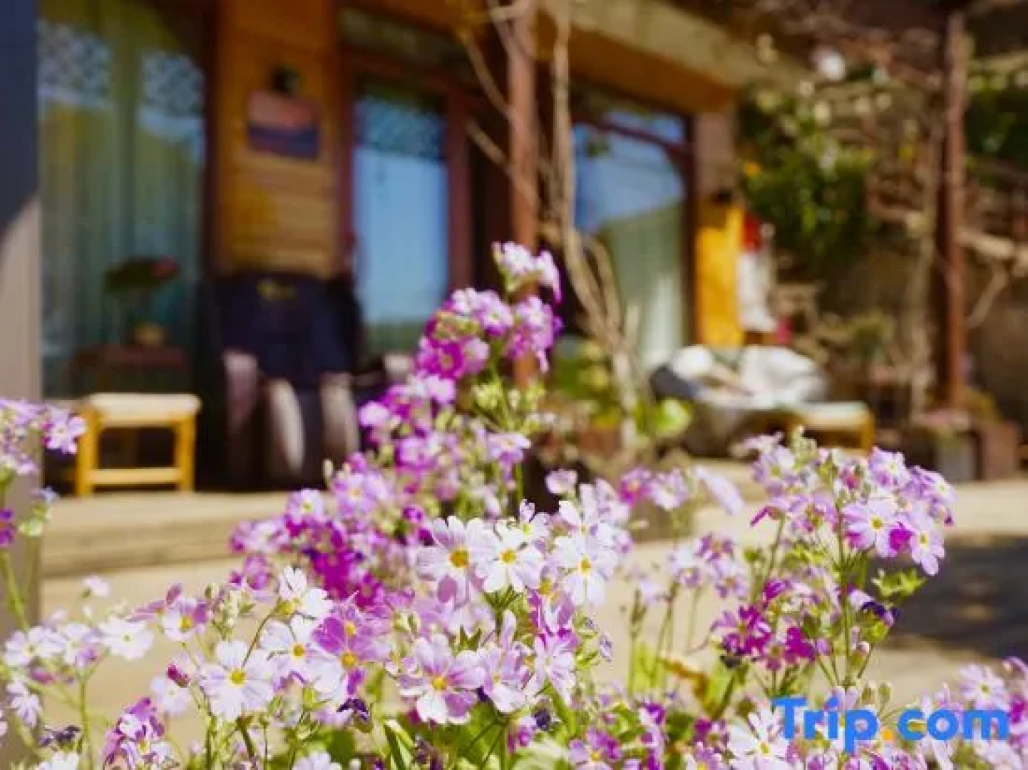 Lugu Lake Cloud - Sea Stacked Courtyard
