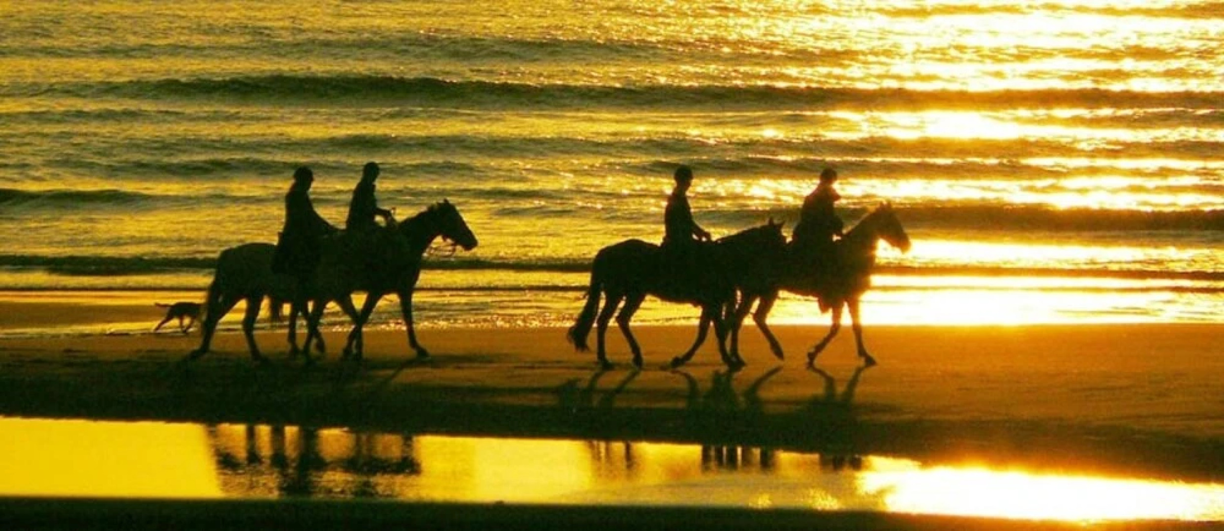 Ferienhaus Ueckermuende VORP 2471