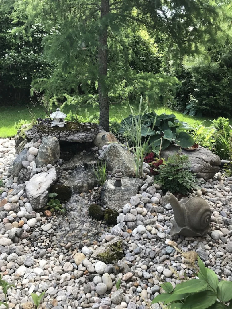 Modern Bungalow Bed and Breakfast