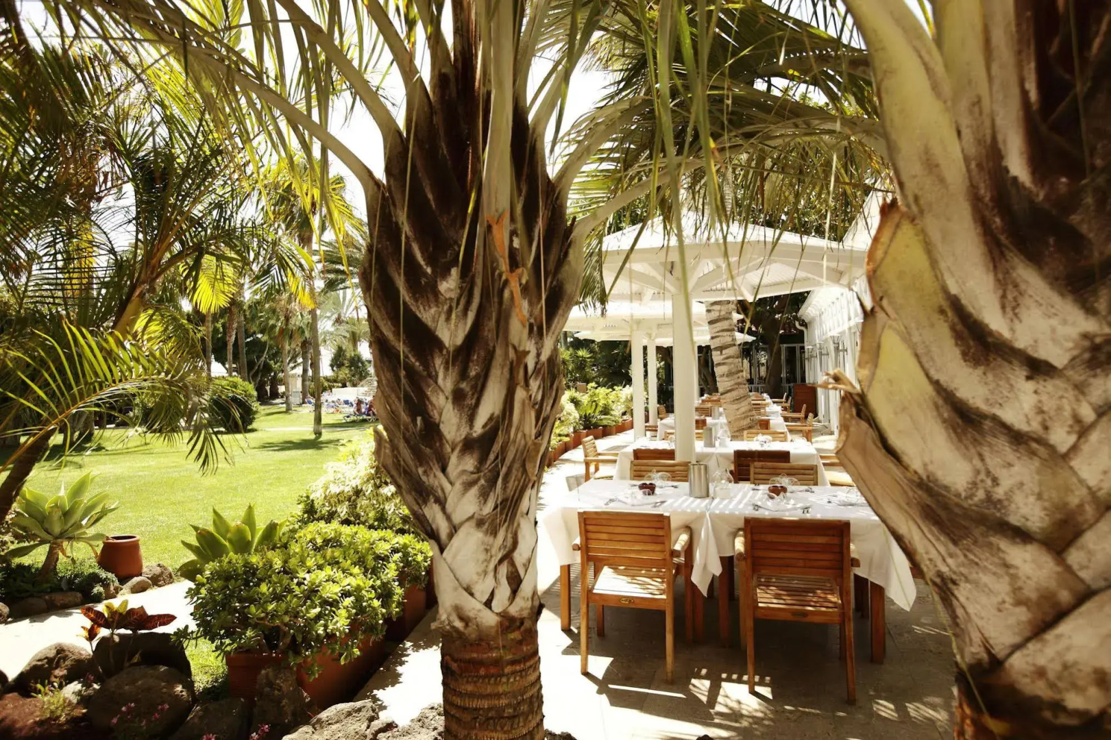 ROBINSON JANDIA PLAYA - Adults only