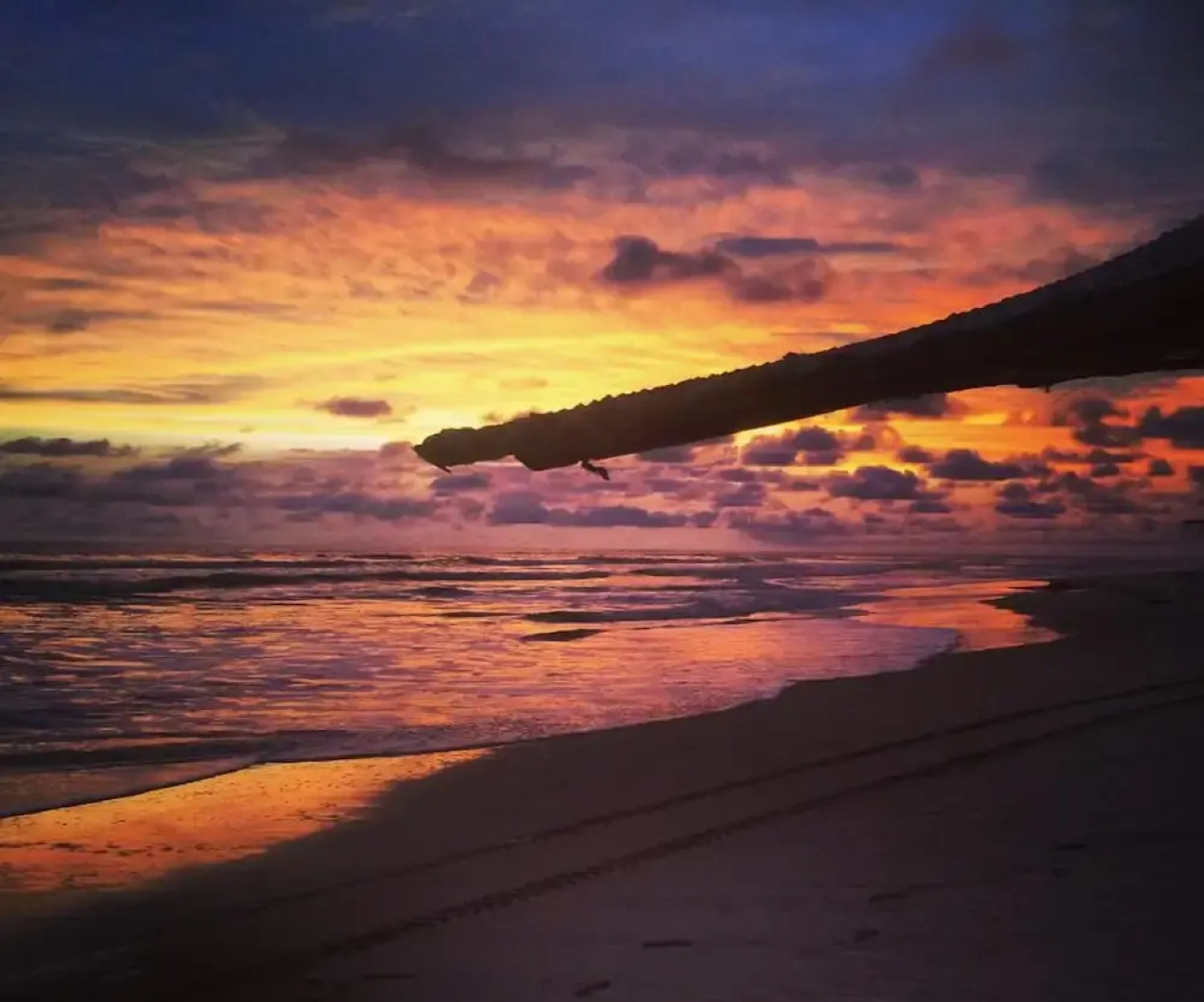 Kame Surf Camp & School Sunset Beach Bar