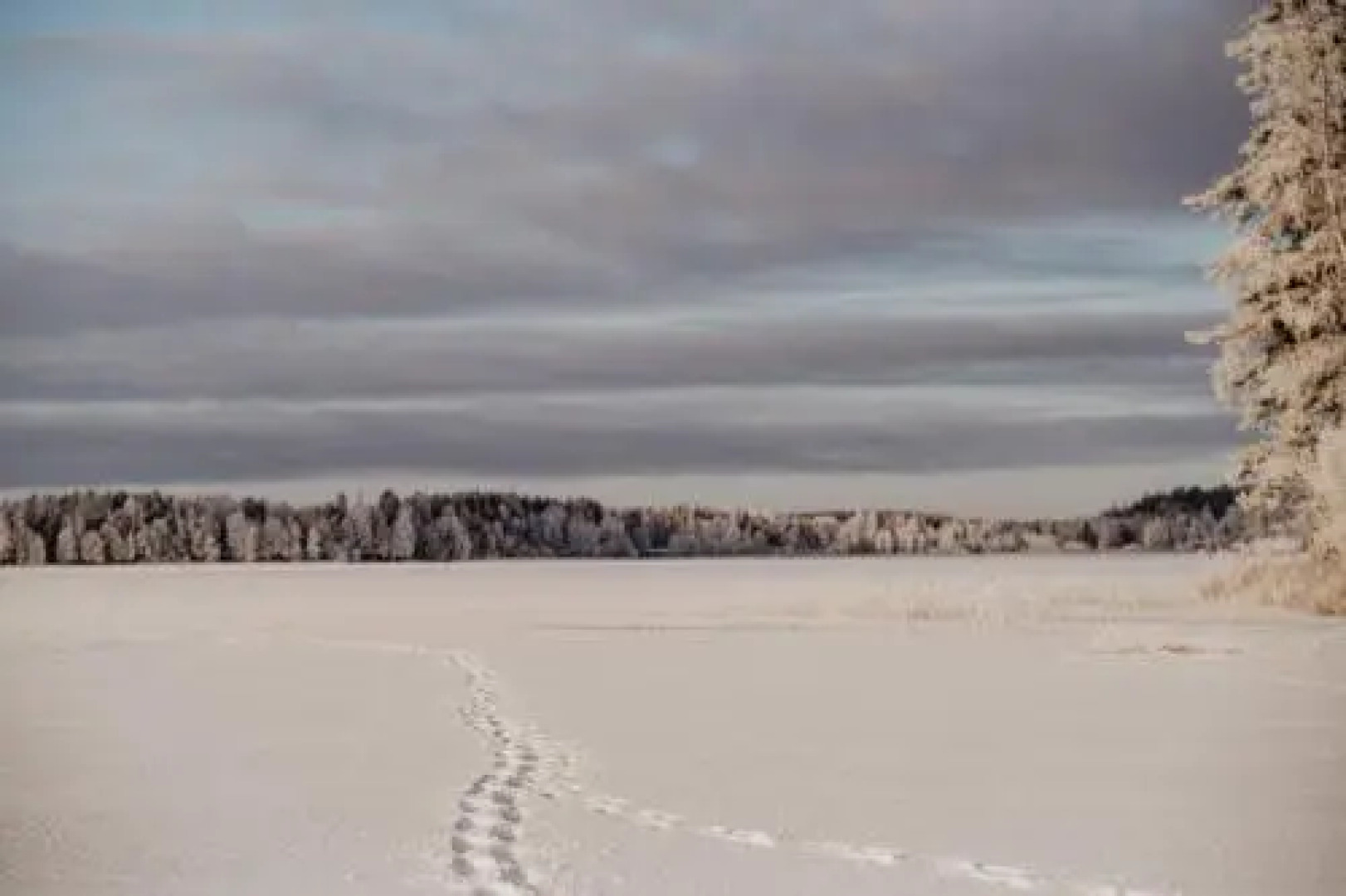 Stiftsgården Tallnäs