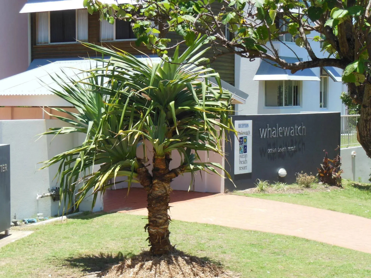 Whale Watch Ocean Beach Resort