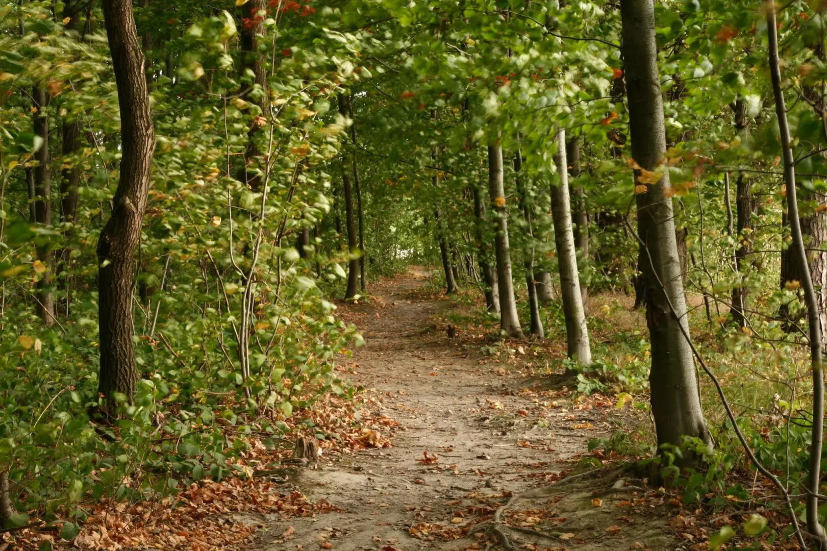 Landgoedhotel Woodbrooke