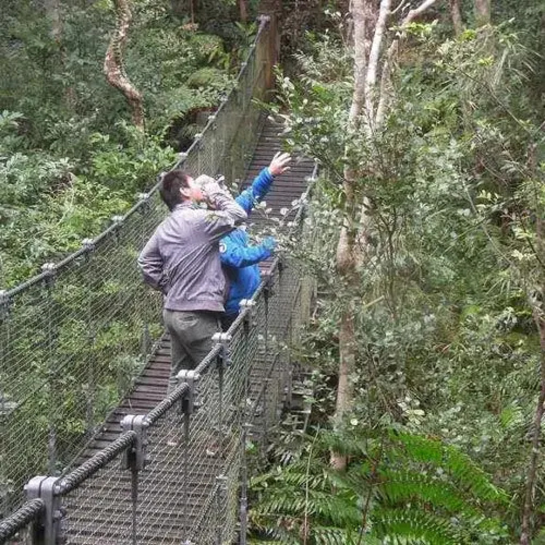 Yambaru Manabi No Mori Shukuhakuto