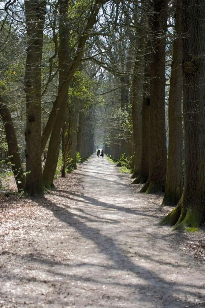 Hotel De Bonte Wever Assen