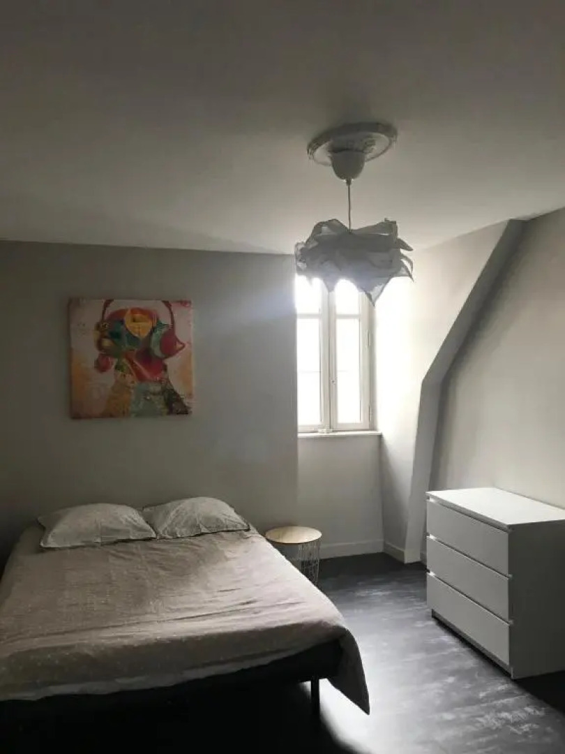 Grand appartement 3 chambres Poitiers coeur de ville