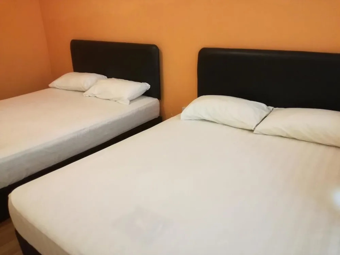 Harbourside Backpackers - Hostel