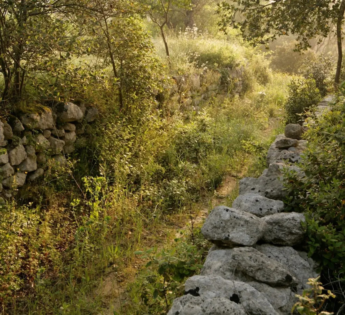 Domaine de Costes-Cirgues