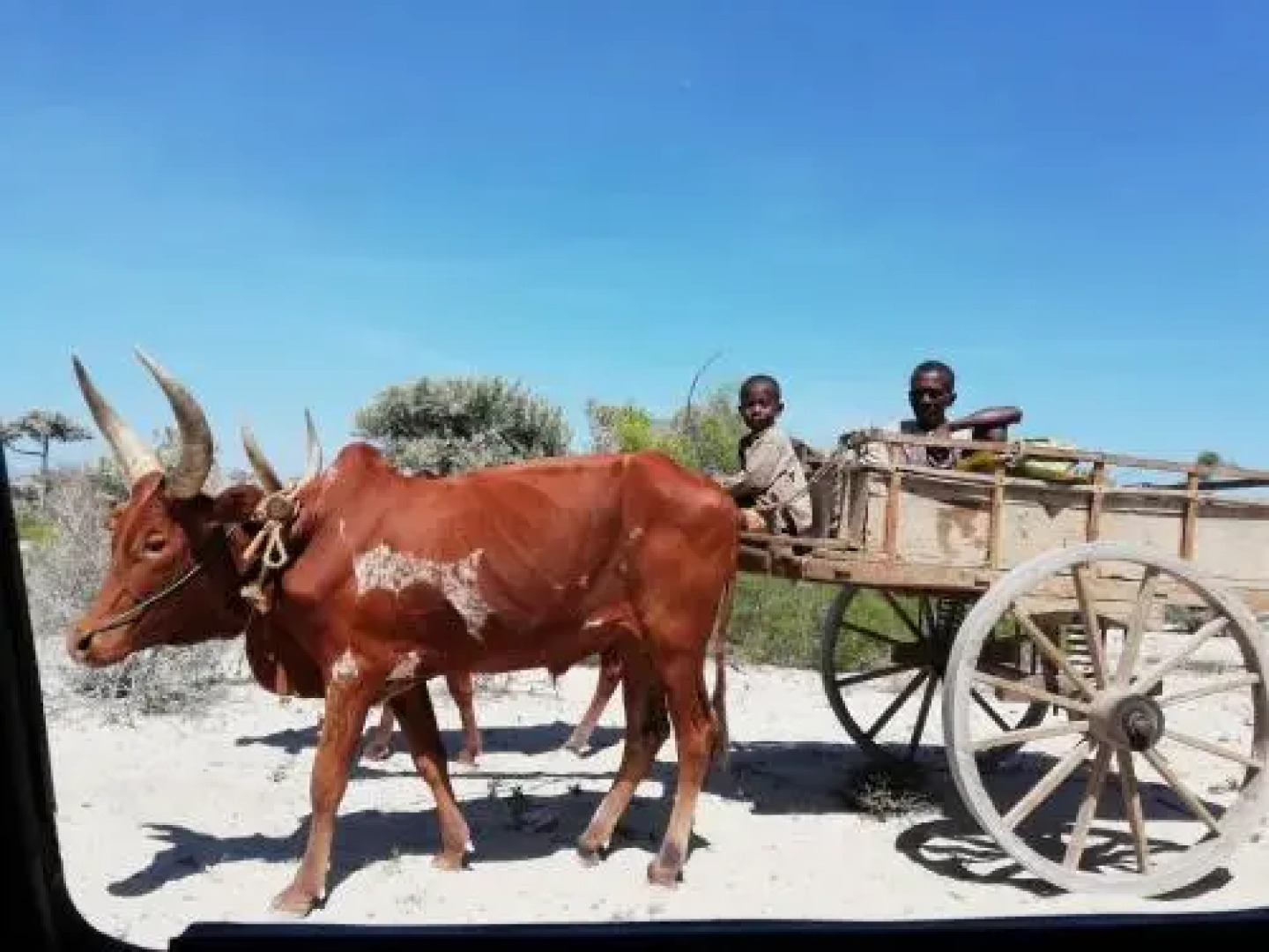 Hotel Safari Vezo Anakao