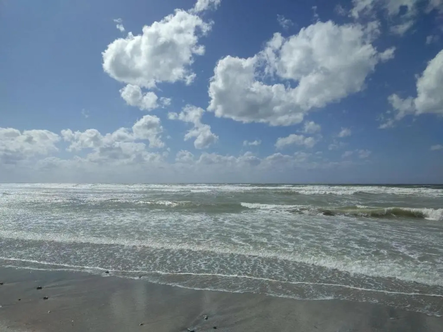 "Le Cocon d'Estelle" Grand Studio vue mer, 30m de la plage