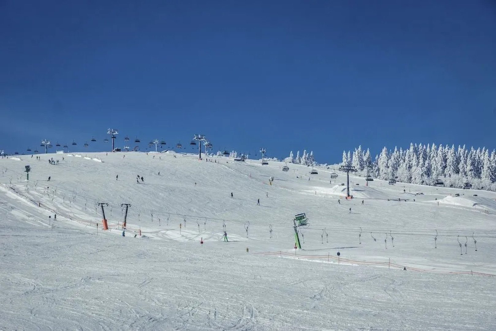 Kuckucksnester Feldberg