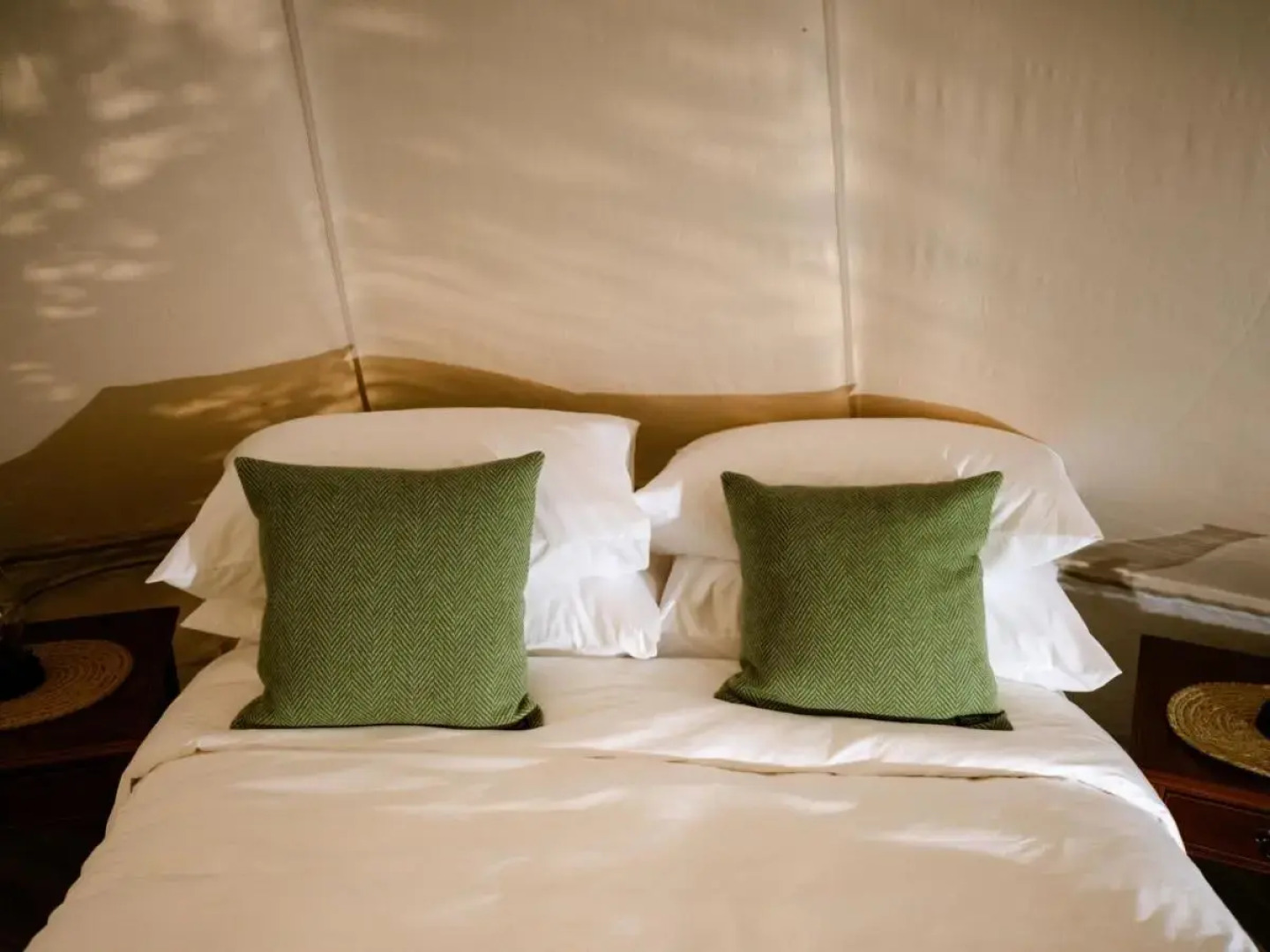 The Forest at Mount Congreve Gardens