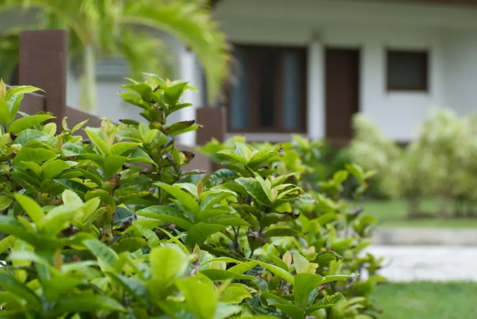 OYO Hotel Arembepe Beach Hotel