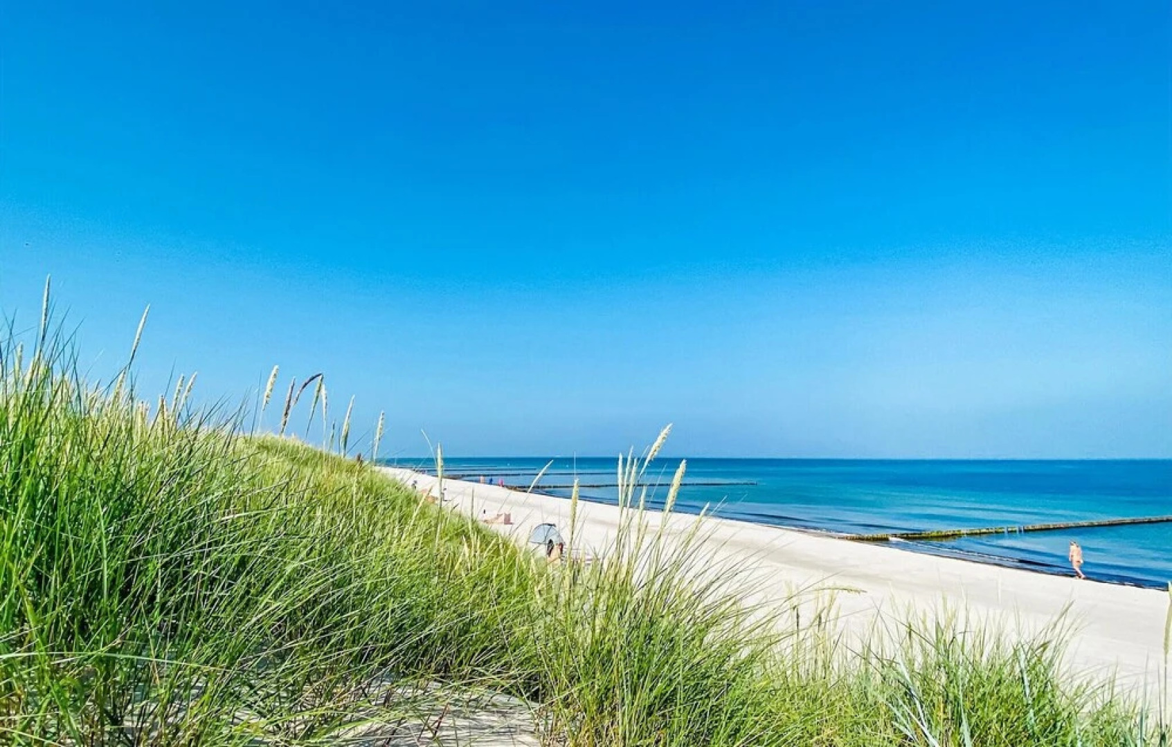 Beautiful Apart. Graal-müritz