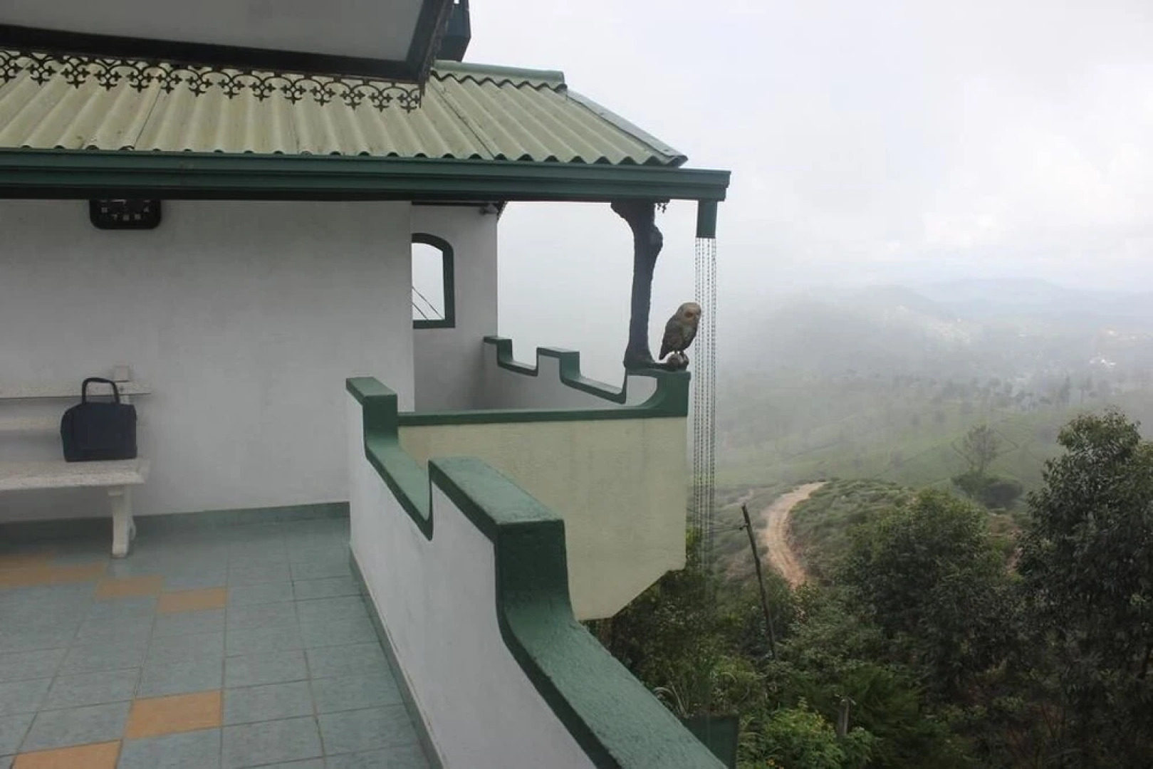 Mountain View Bungalow