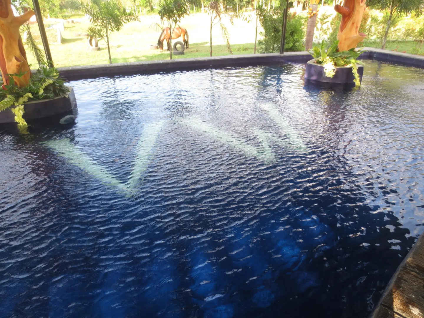 Vinewoods Resorts by Cocotel