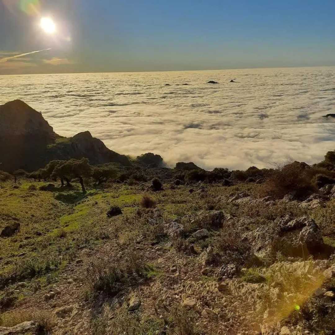 Alojamiento Rural La Yuca