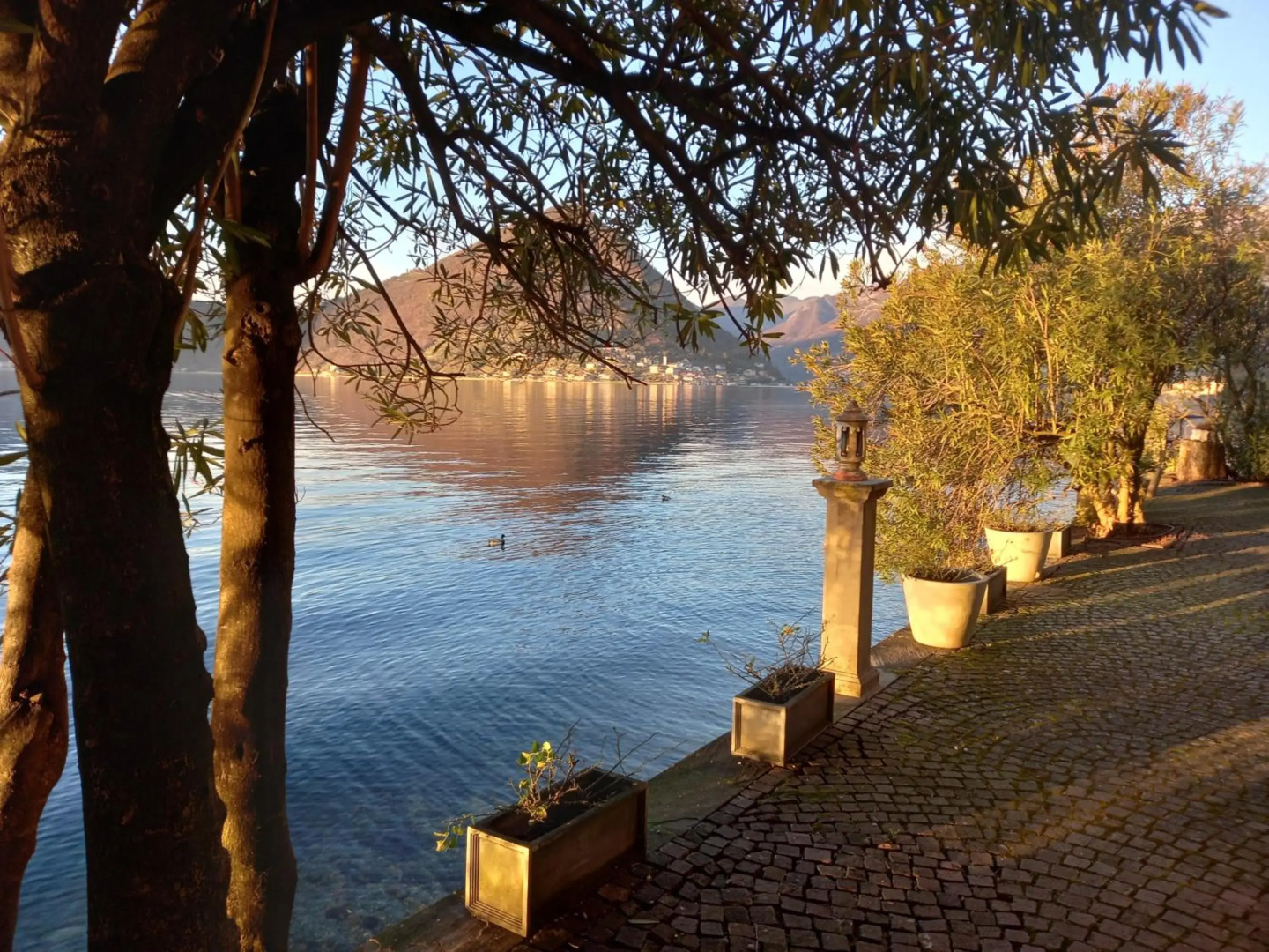 L'Oleandro Sul Lago d'Iseo B&B
