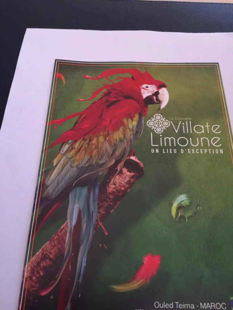 Taghazout bay Tamraght appartement