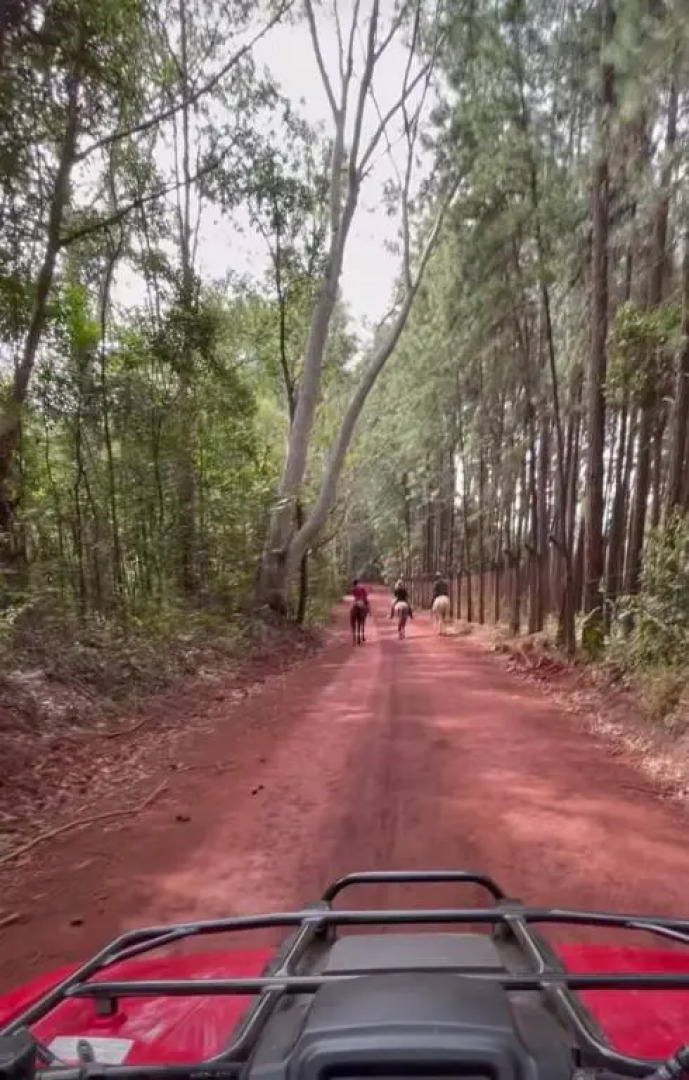 Pousada Canto da Lua -  Macacos