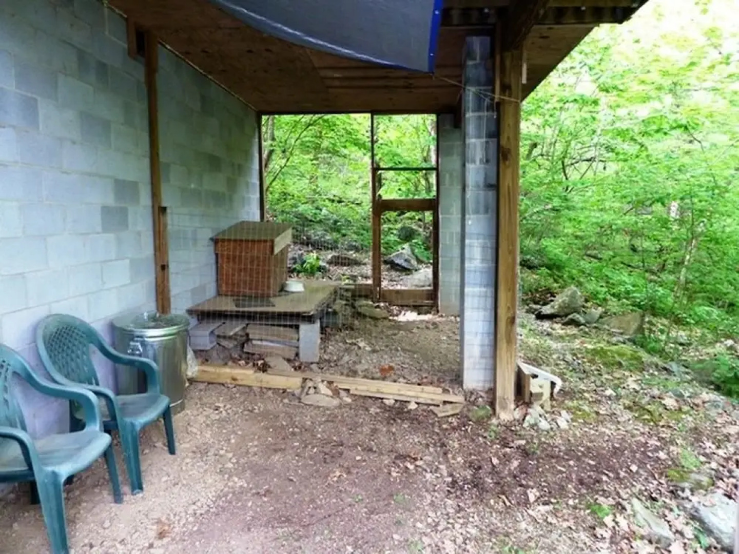 A_wild_woods_retreat