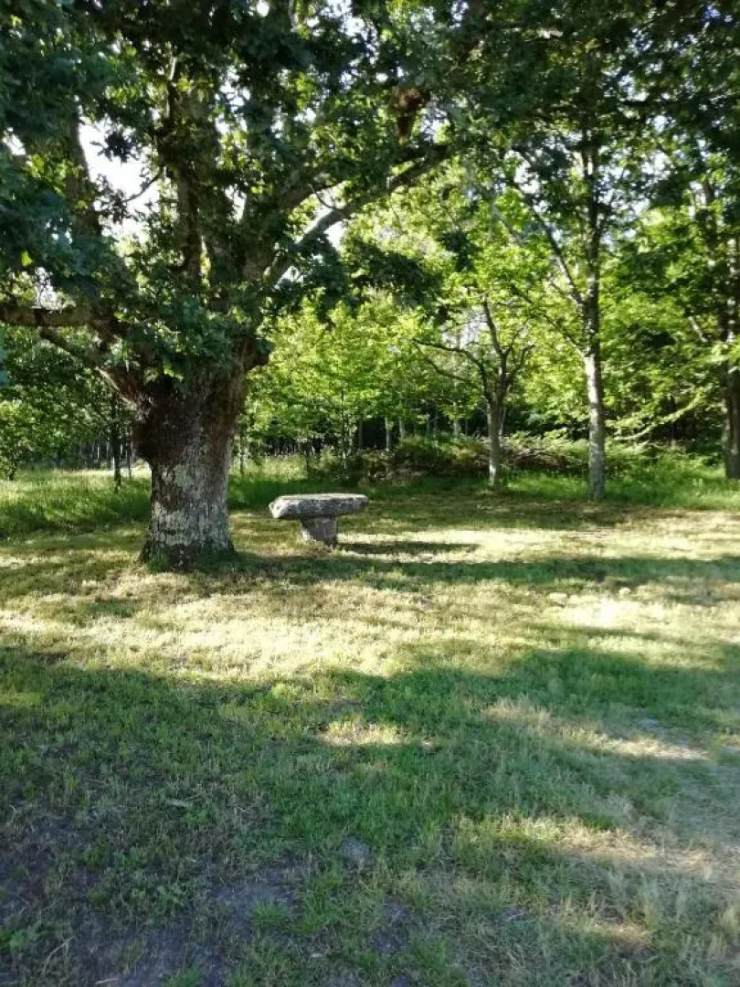 Bueliña Da Carballeira