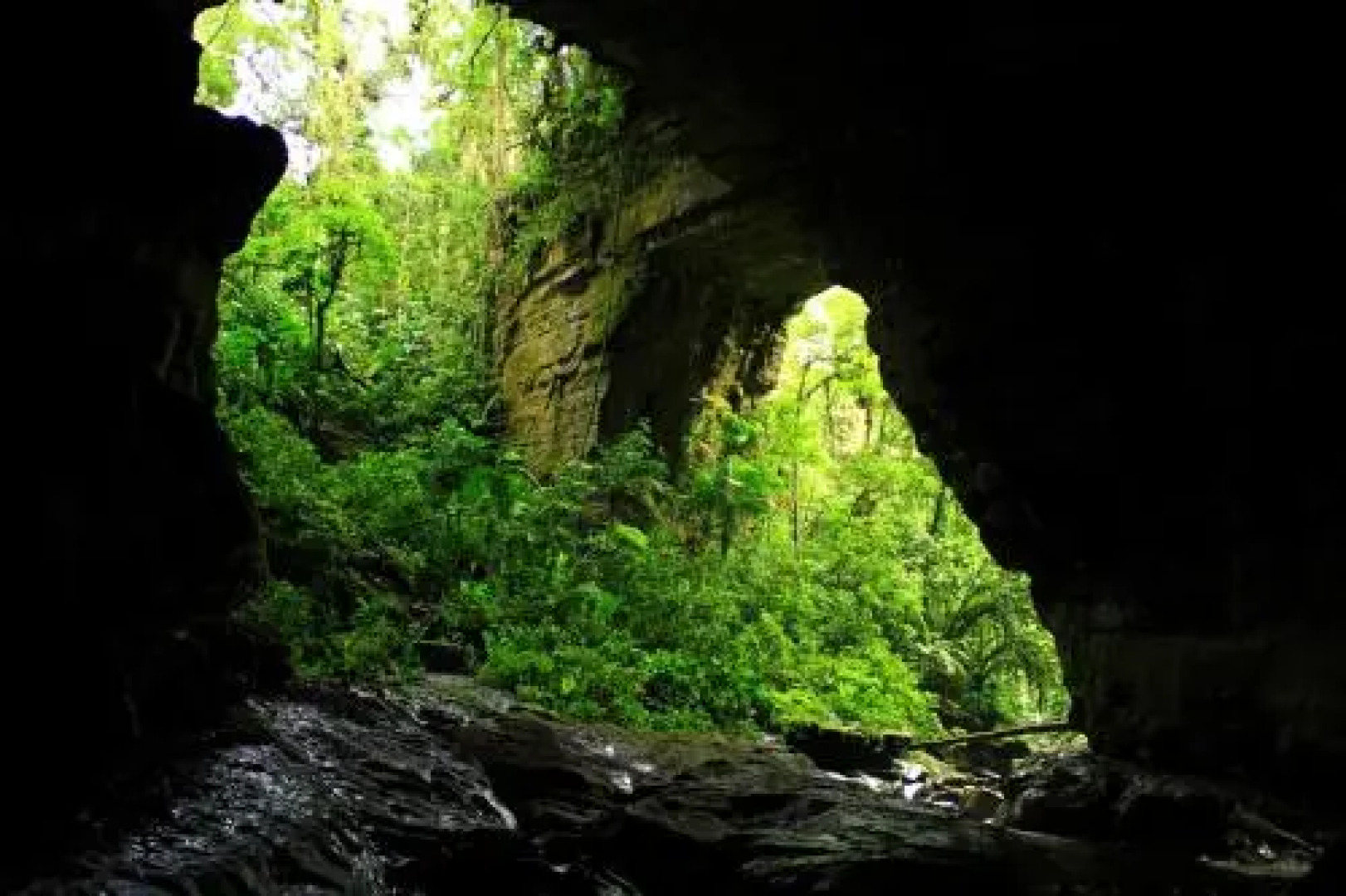 Cueva de los Guacharos