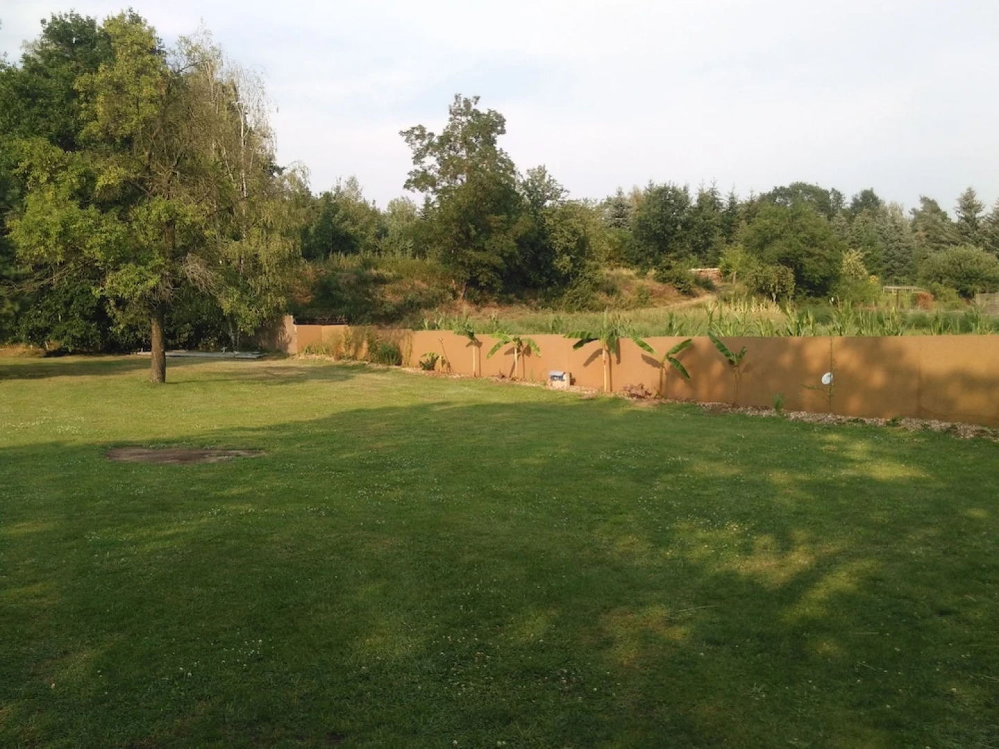 Ferienparadies Waldidylle