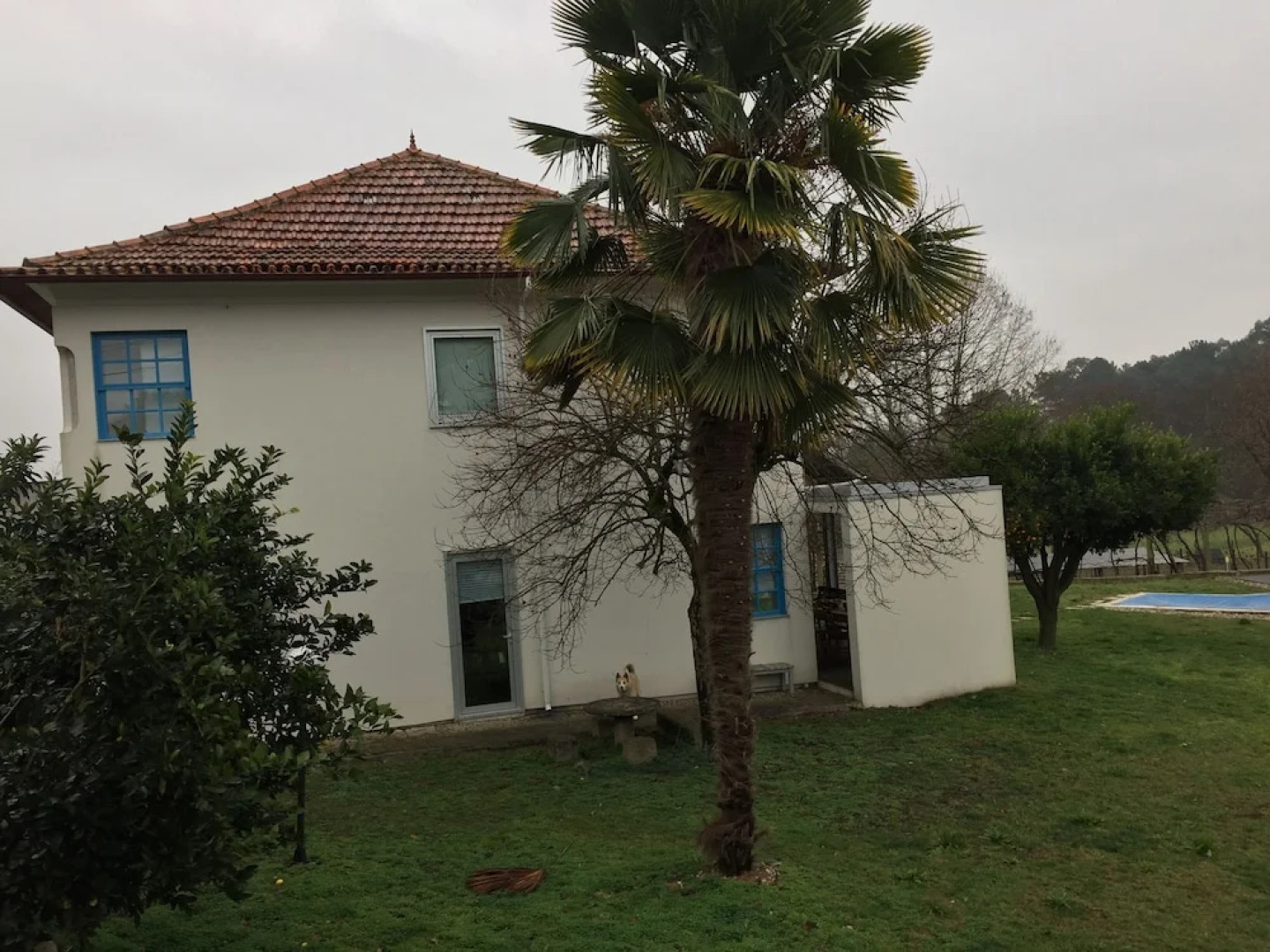 Detached House With Pool and Very Surrounding Land in a Parish of Vila Famalico