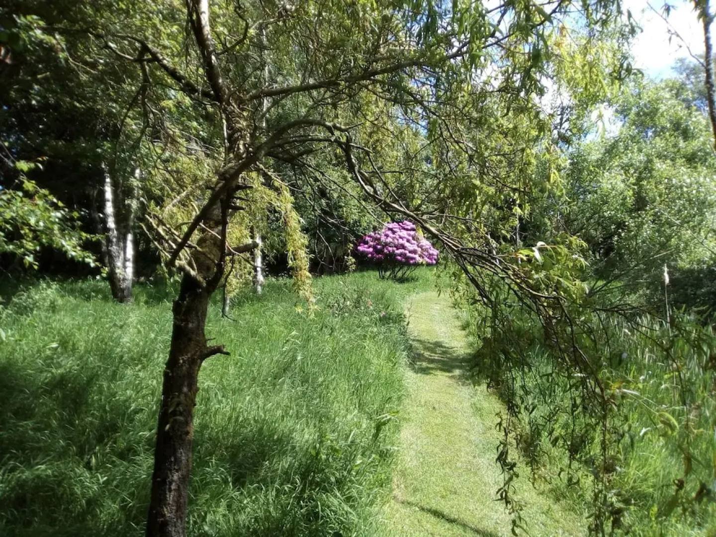 The Sweet Escape Retreat