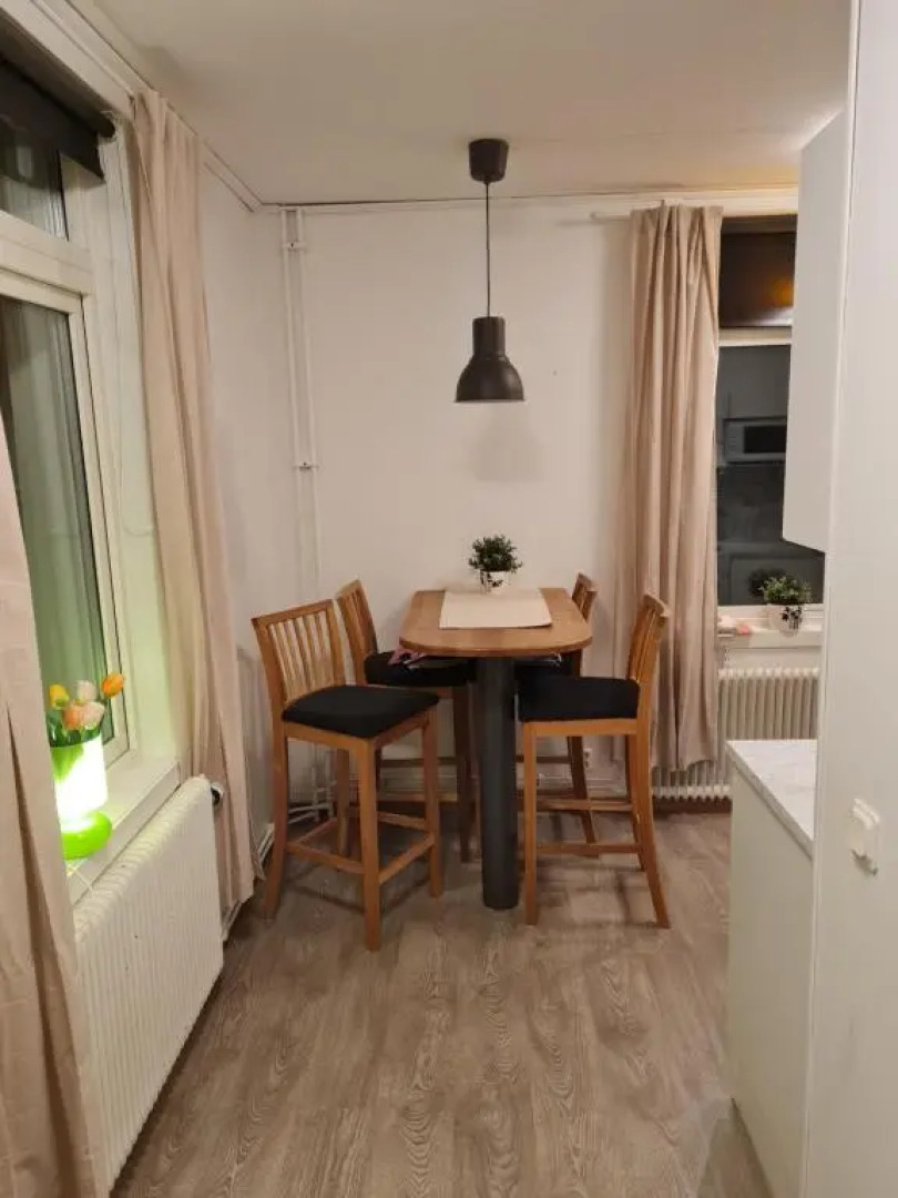 Mysig lägenhet med ett rum och kök 1103