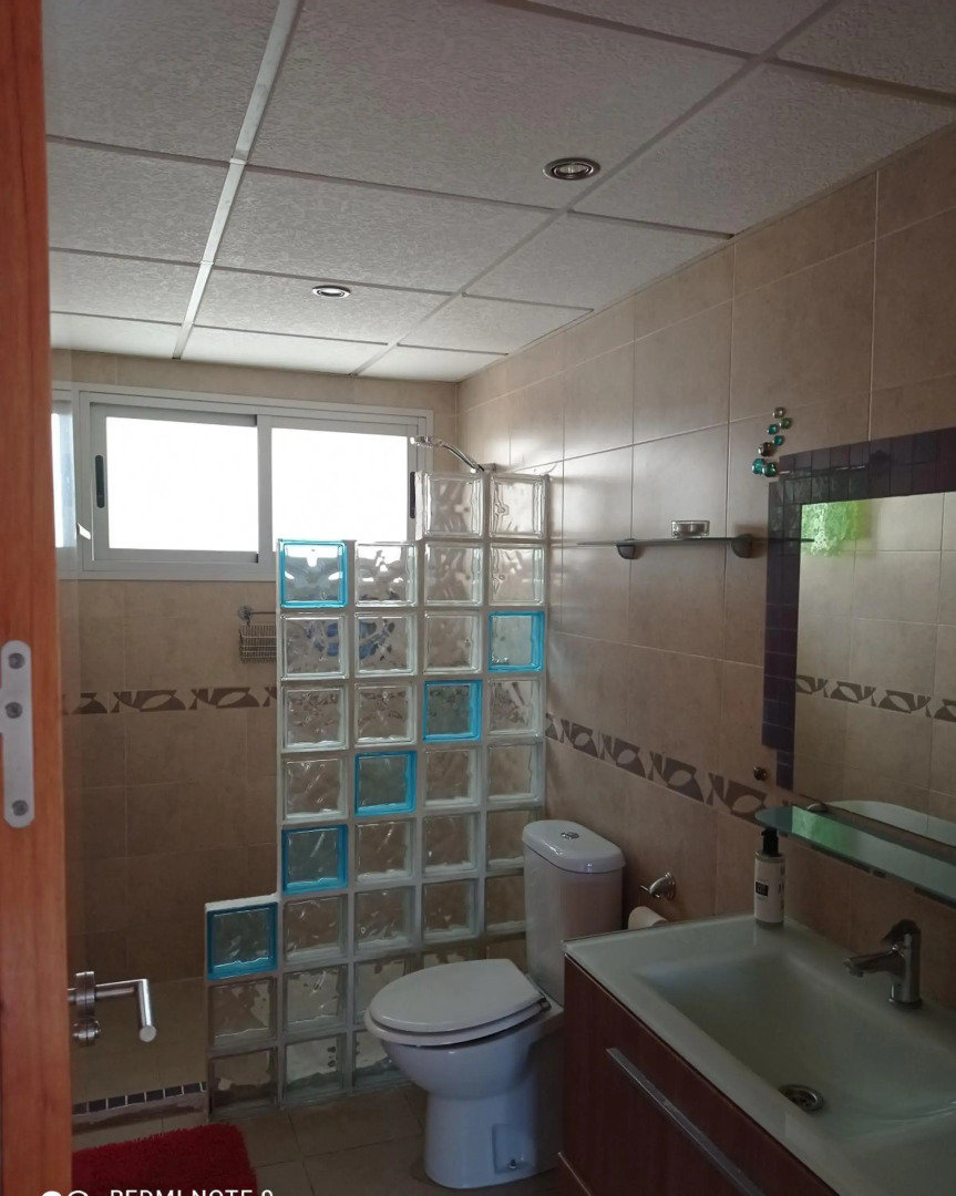 Disfruta Granada,incluso con tu mascota Parking