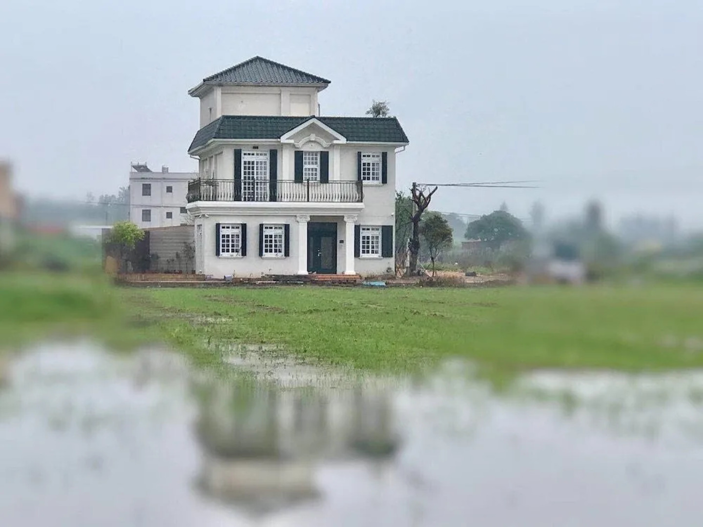 Sea & Wind Rose Villa