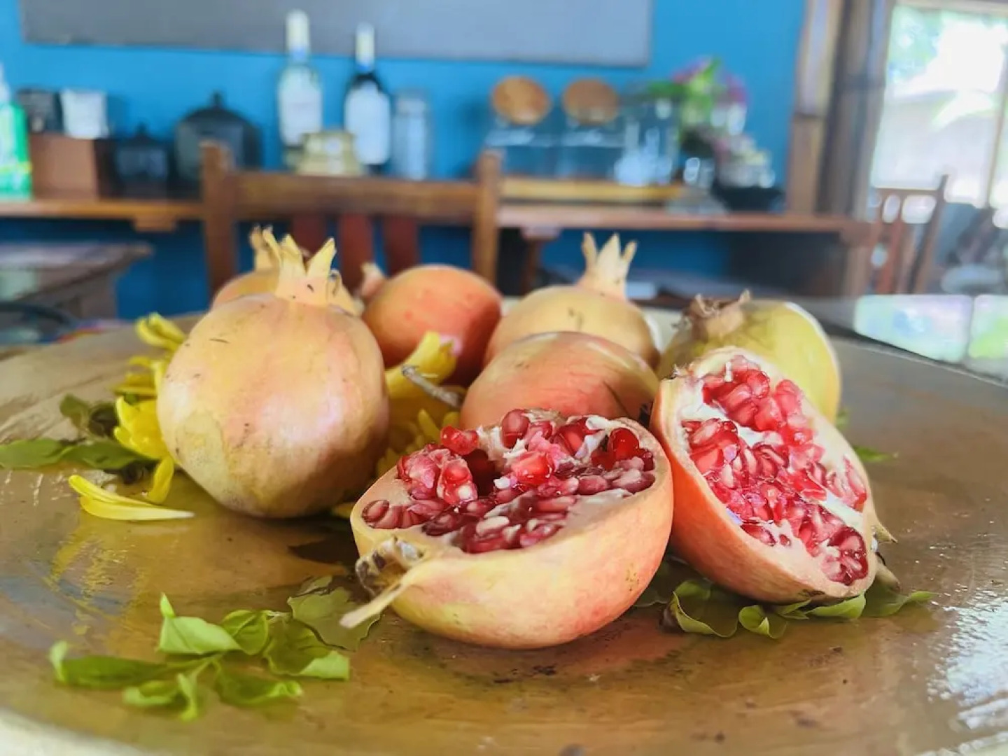 Samai Lodge Holistic Living