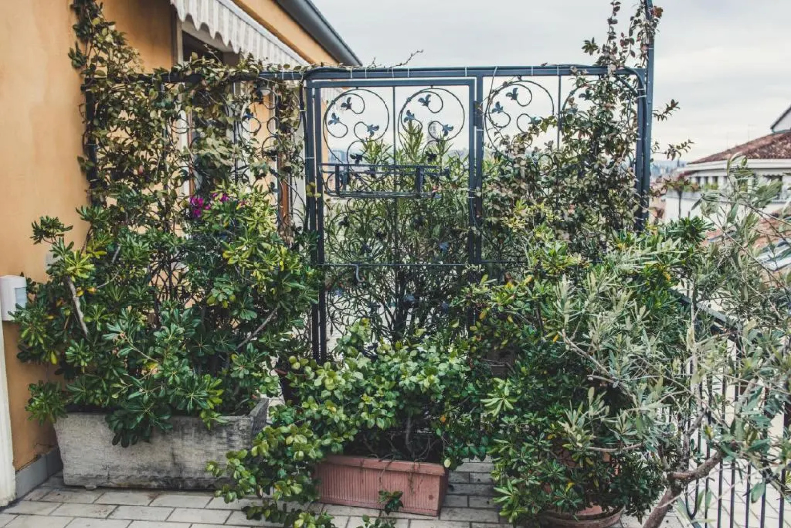Alla terrazza b&b