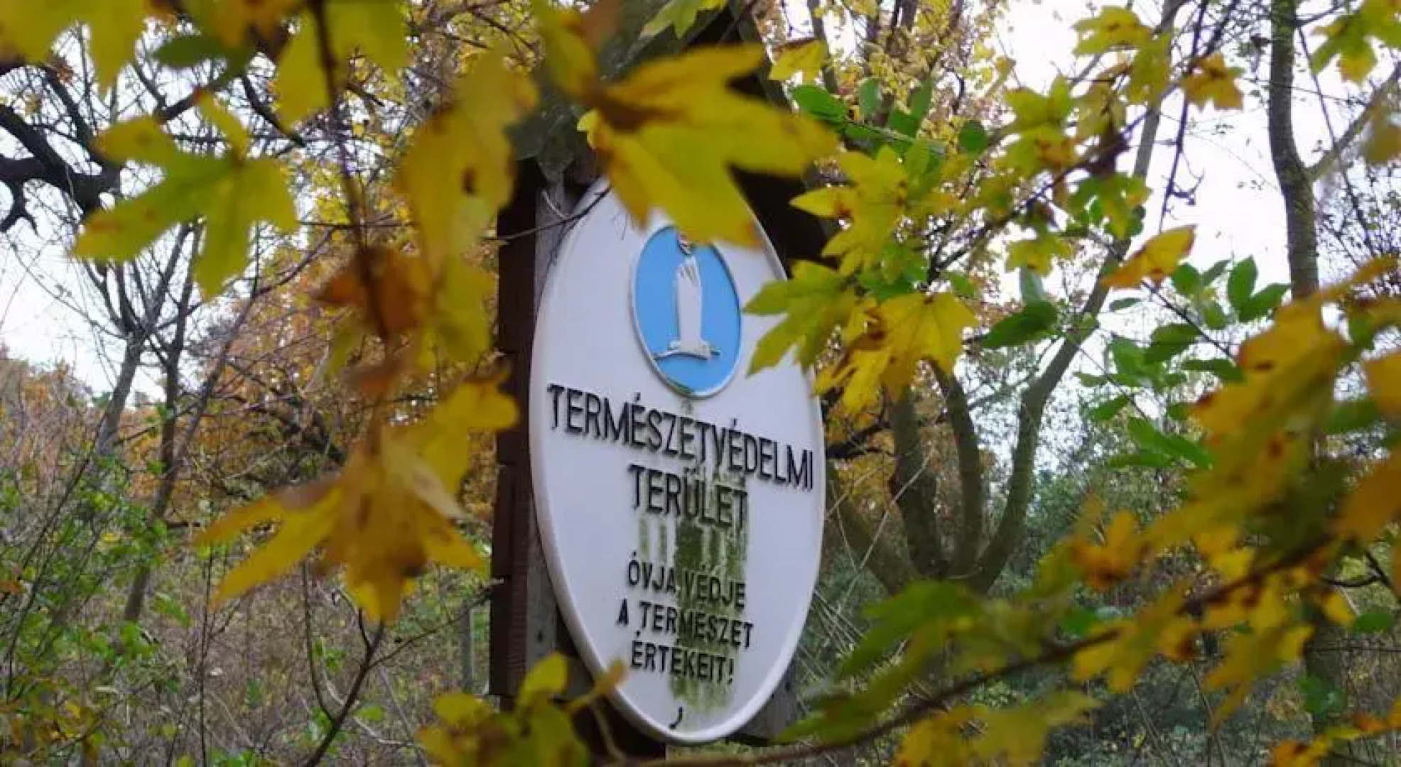 Batvölgyi Vendégház