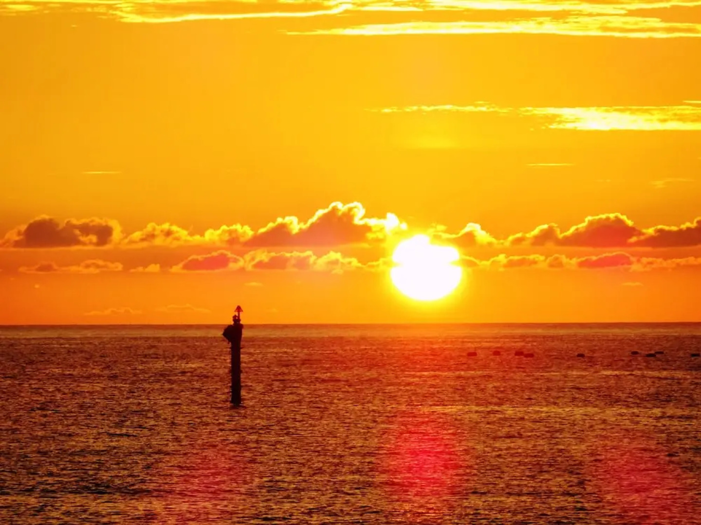 Hotel Nor - Badehotellet