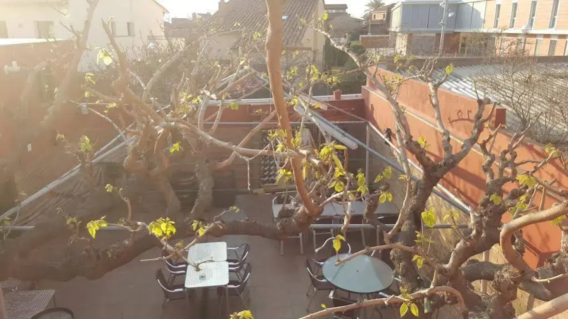 Pensión Restaurante Avenida