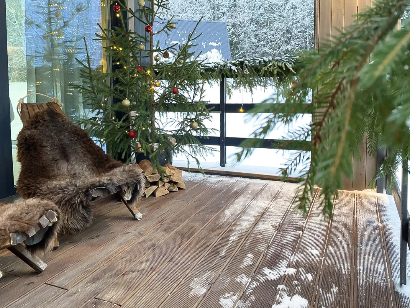 Pine Forest(Хвойный лес)