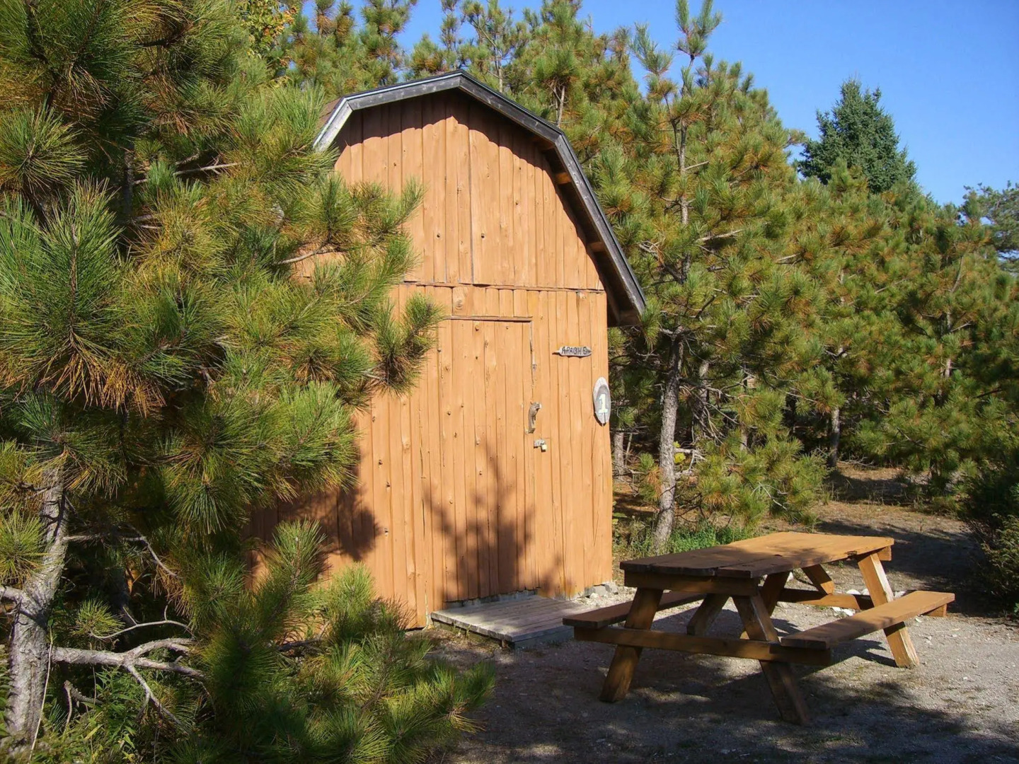 Little Cove Adventures